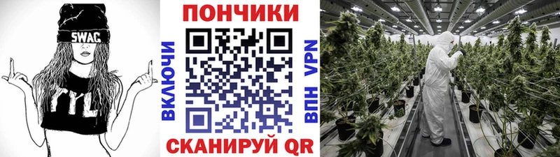 Как найти закладки Звенигород Галлюциногенные грибы  Кокаин  Экстази  Мефедрон  ГАШИШ  Марихуана  Alpha PVP 