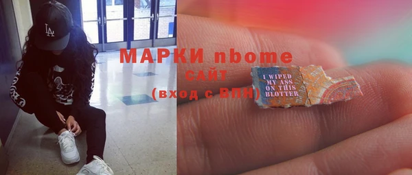 шишки Медвежьегорск