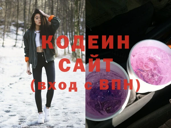 шишки Медвежьегорск