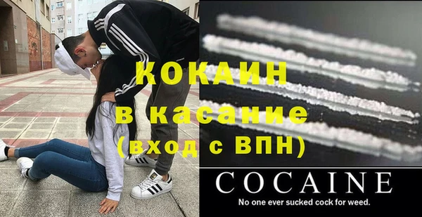 шишки Медвежьегорск