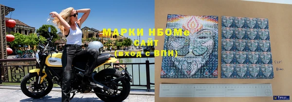 шишки Медвежьегорск