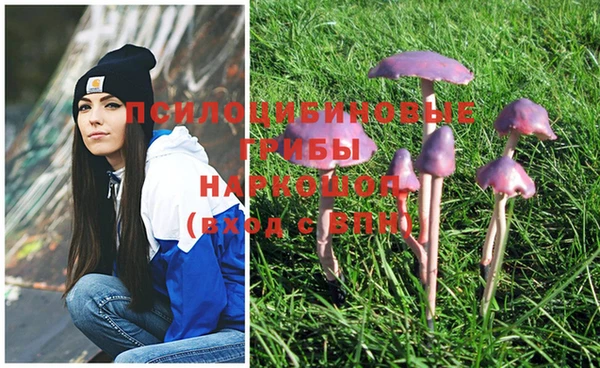 MDMA Premium VHQ Медногорск