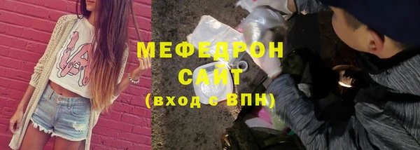 шишки Медвежьегорск