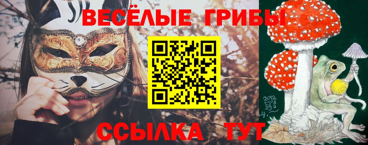 Галлюциногенные грибы мицелий  цены наркотик  Звенигород  Вход с VPN 